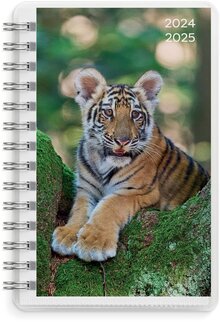 Kalender 24/25 Compact Pets